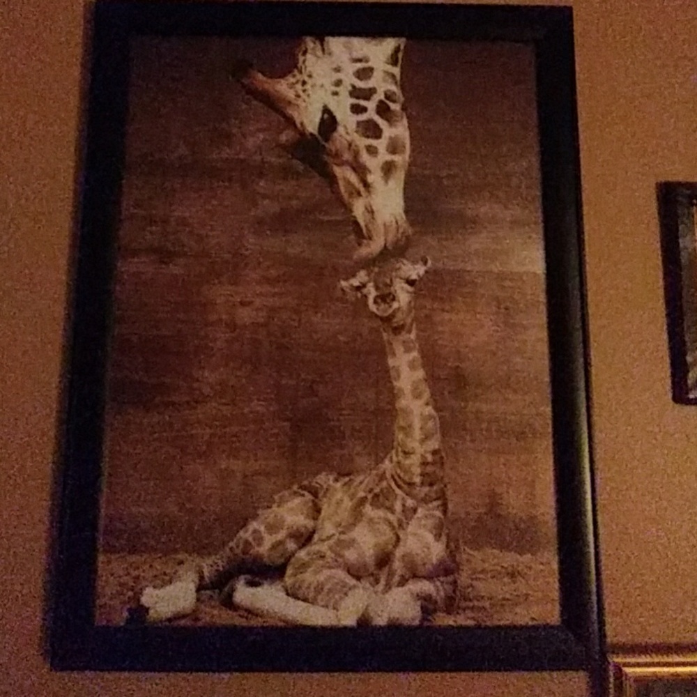 Pic